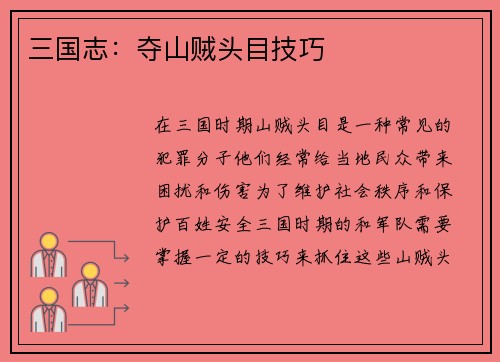 三国志：夺山贼头目技巧
